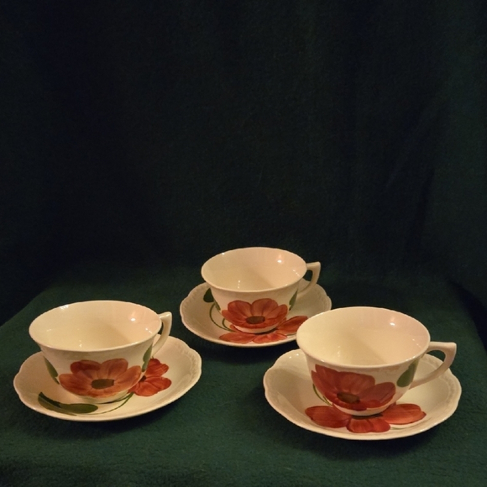 Floral Patterned Tea Cup and Saucer Set.